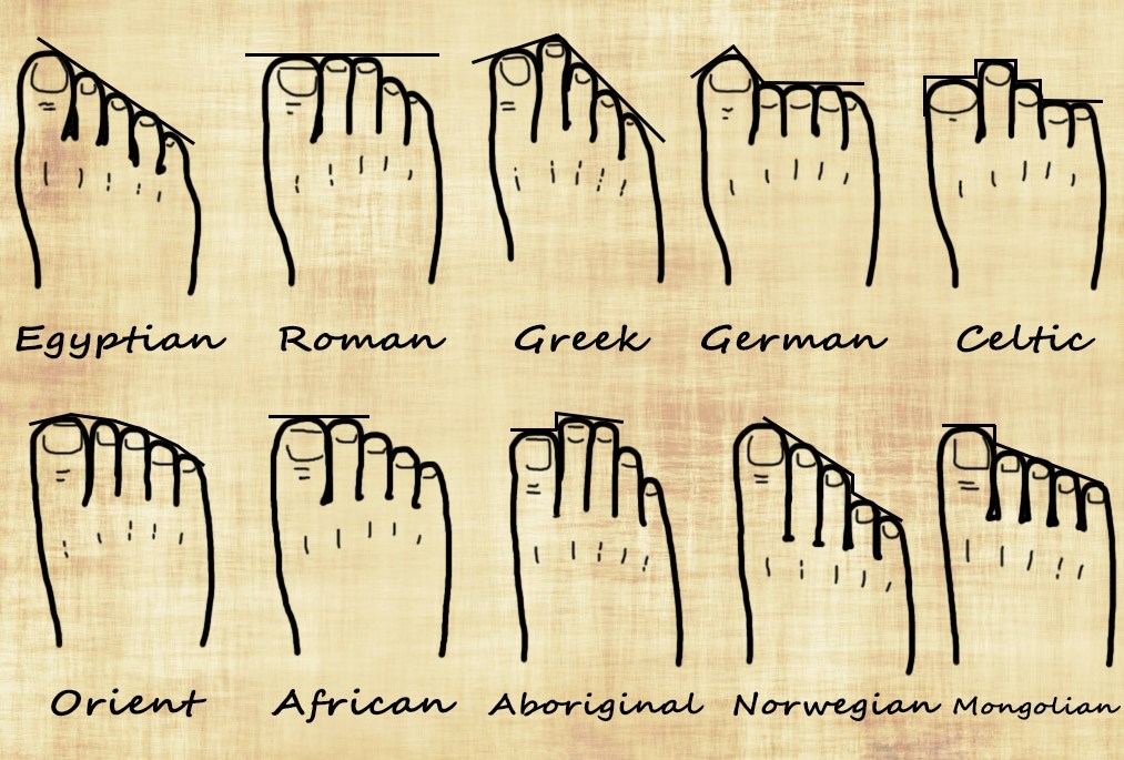 Your foot shape and your genealogy