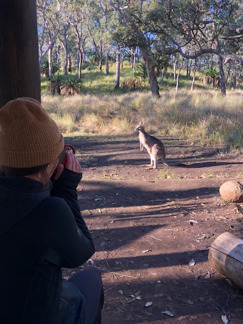 A picture of Hannah drinking a hot coffee and admiring a kangaroo at Carnarvon National Park