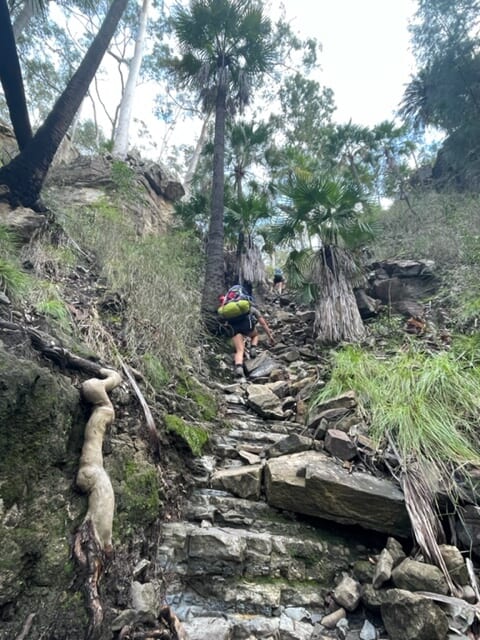 A photo of Hannah climbing a steep hill with uneven rocks and vegetation at Carnarvon National Park