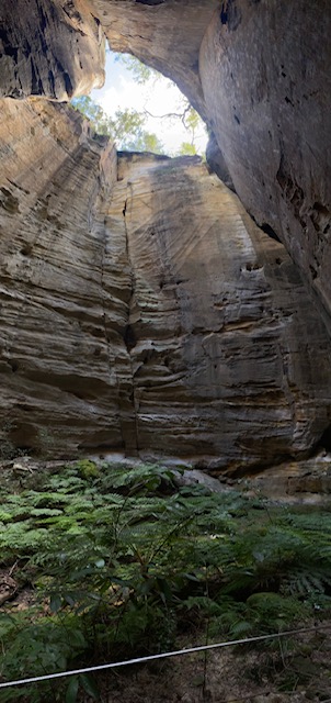 A photo of looking upwards from the bottom of cave at Carnarvon National Park to the opening at the top which shows sunshine and trees on the Carnarvon Gorge Great Walk