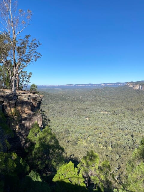 A photo looking out at the Gorge from above.