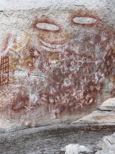 A phot of aboriginal cave drawings at Carnarvon National Park on the Carnarvon Gorge Great Walk