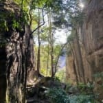 A picture of the Gorge with towering walls on each side